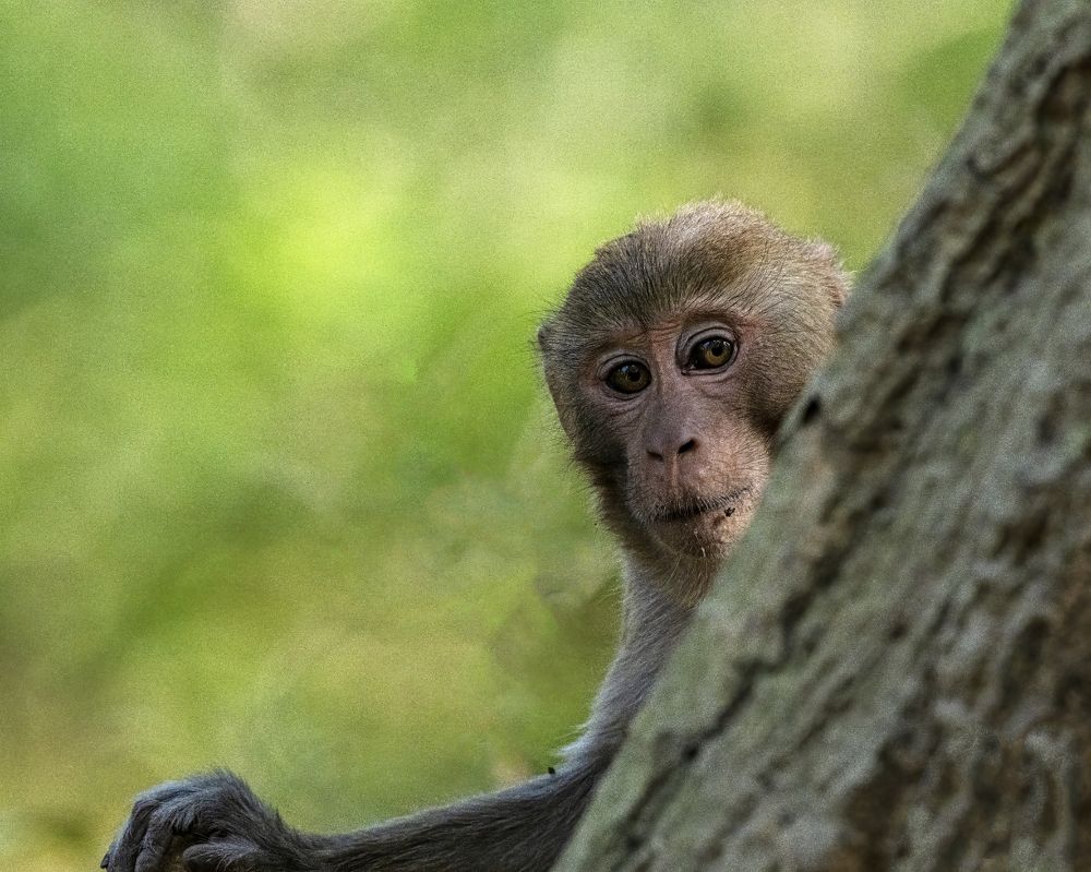 Photograph by Ebenazar Isaac