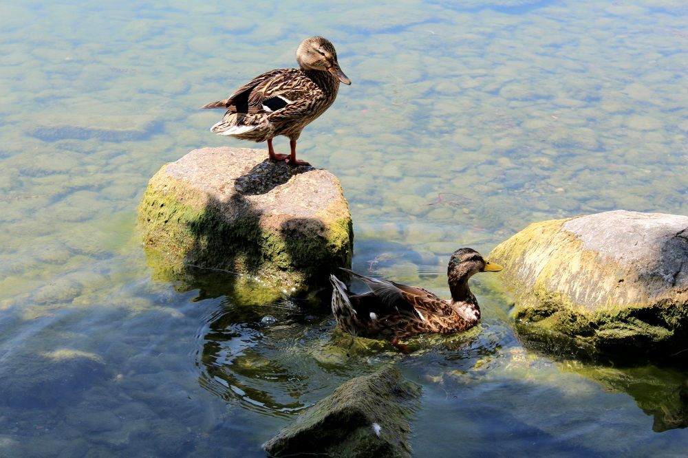 Фотография автора Elvira Minigulova