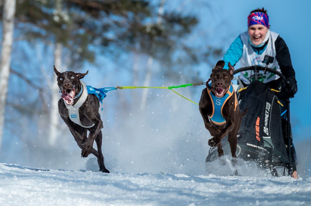 Photograph by Людмила Ковалева