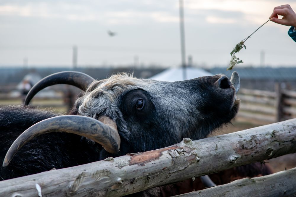 Photograph by Марина Крюкова