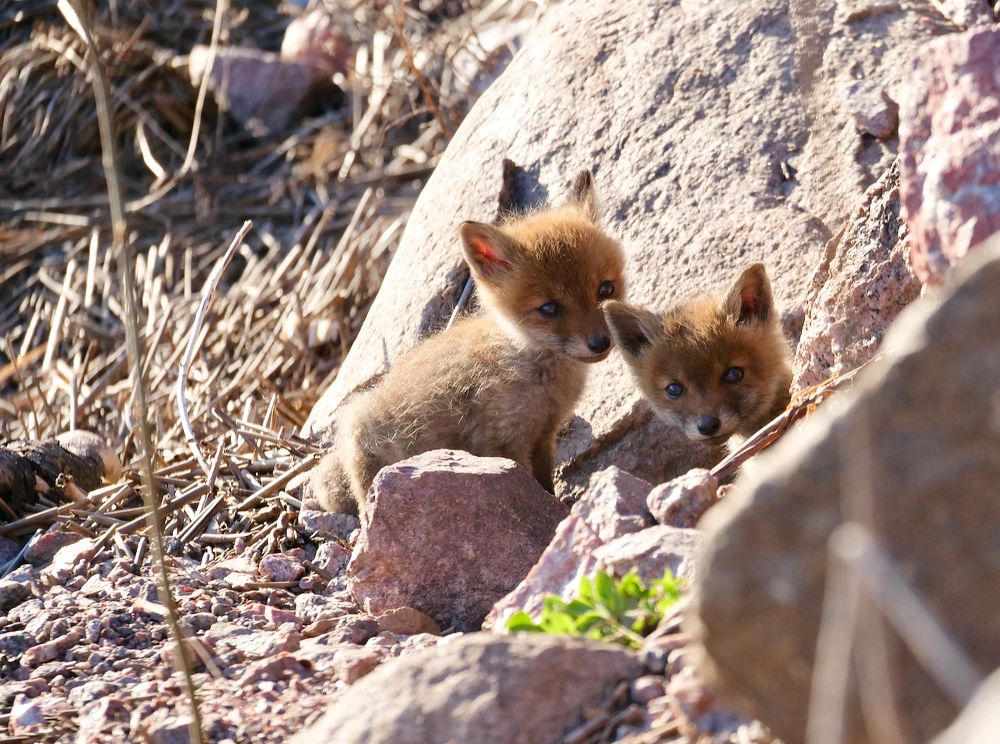 Photograph by Анна Целых