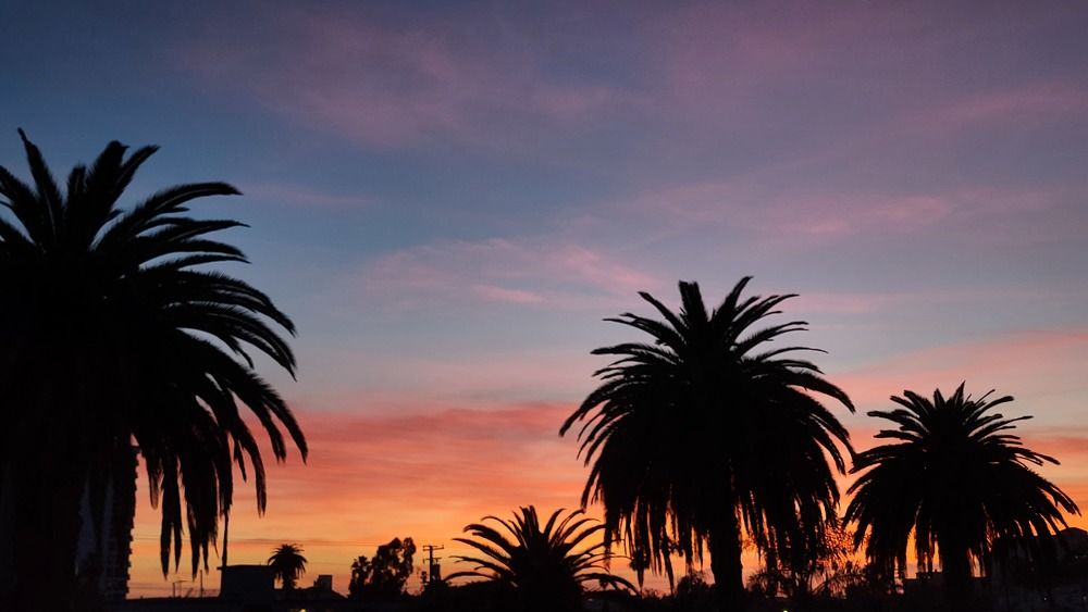 Photograph by Omar Julio Valenzuela Moldes