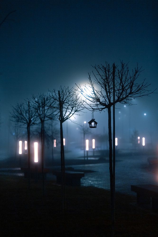 Photograph by Georgy Akimov