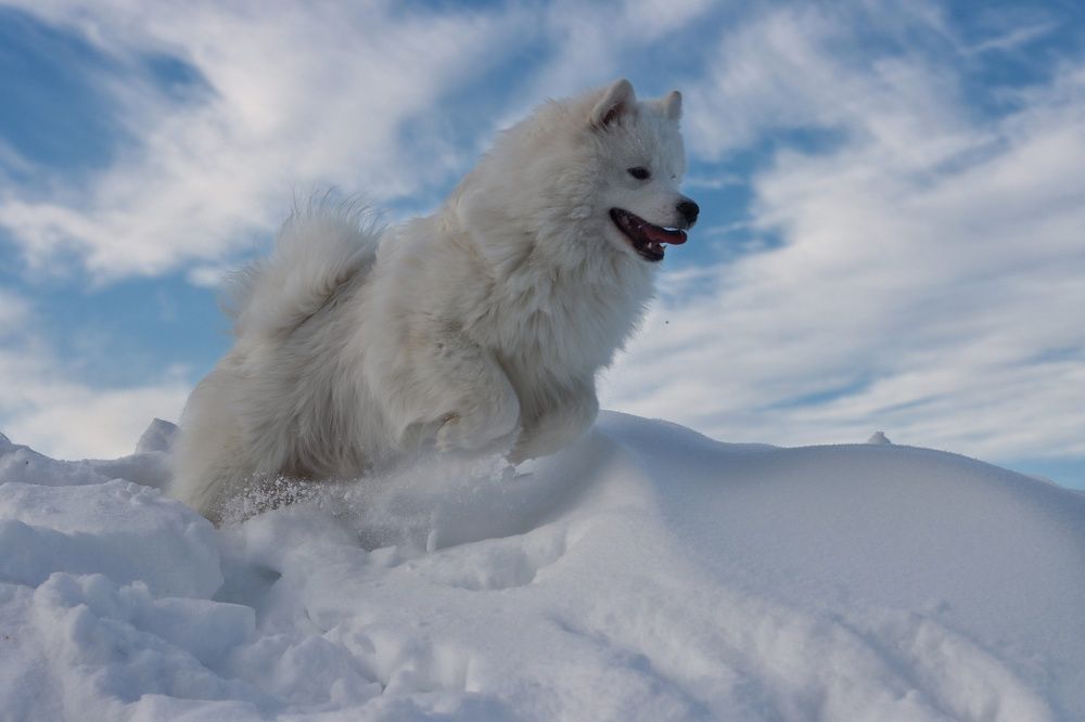 Photograph by Дарья Чистякова