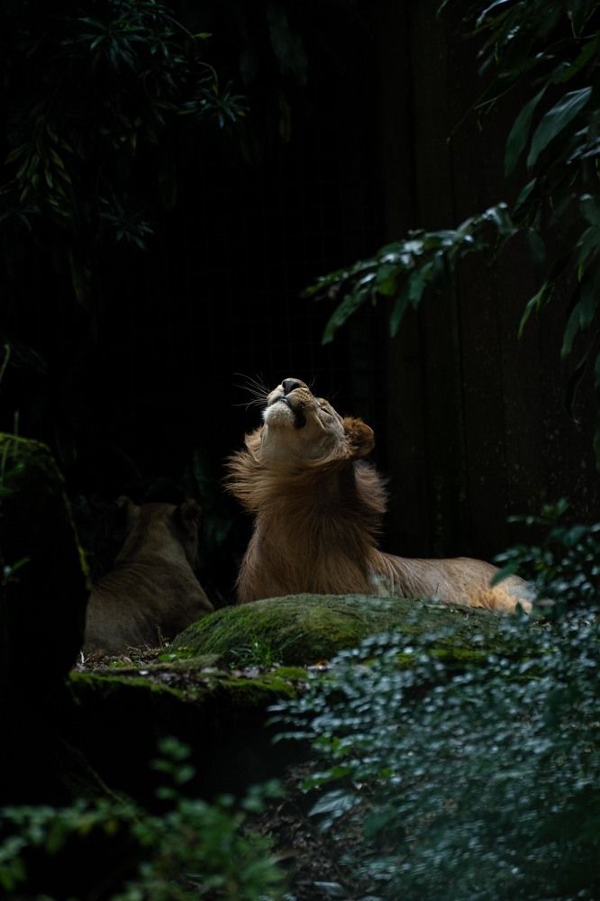 Photograph by Niveth Kumar