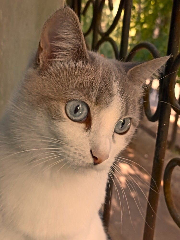 Photograph by Алия Байсыкова