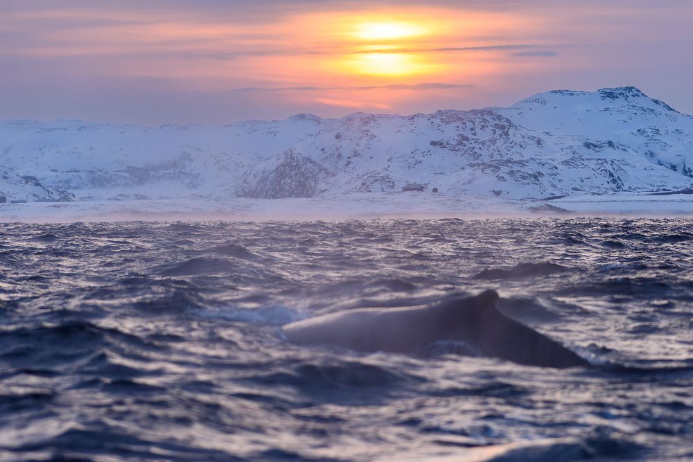 Фотография автора Александр Добыш