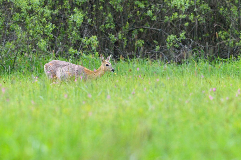 Фотография автора Александр Добыш