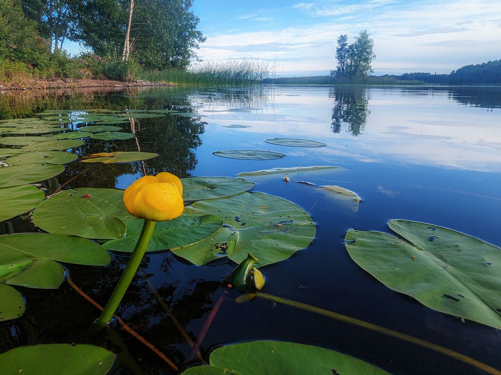 Photograph by Liudmila Drake