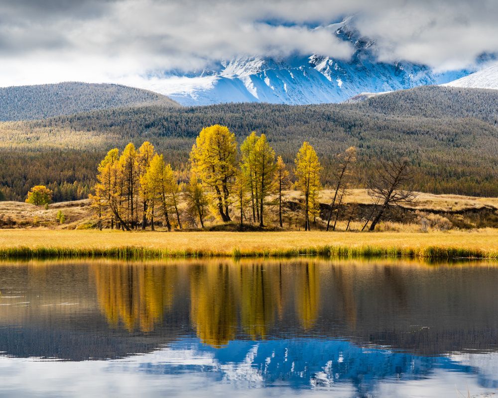 Фотография автора  Андрей