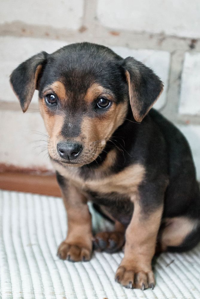 Photograph by Людмила Прибылова