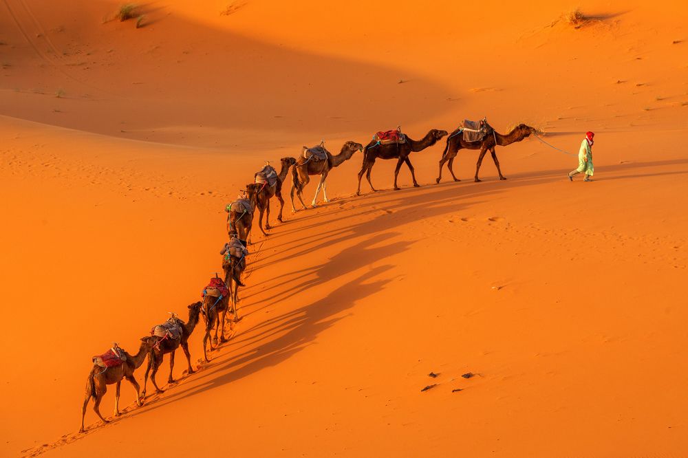 Photograph by Костадин Маджаров