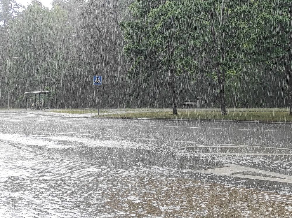 Фотография автора Aleksej Musatov