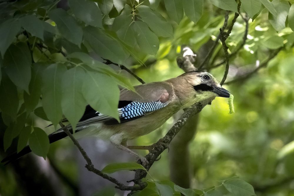 Photograph by Pavel Gribtsov