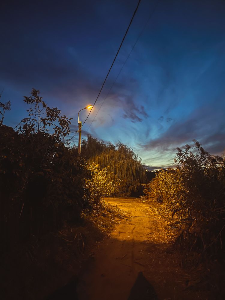 Photograph by Анастасия Каланакова