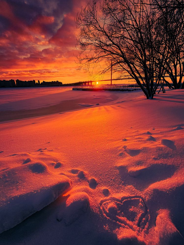 Photograph by Chic.chiquitita