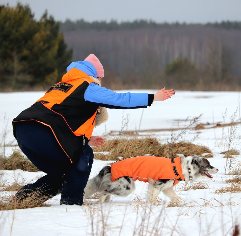 Photograph by Алексейчик Дмитрий