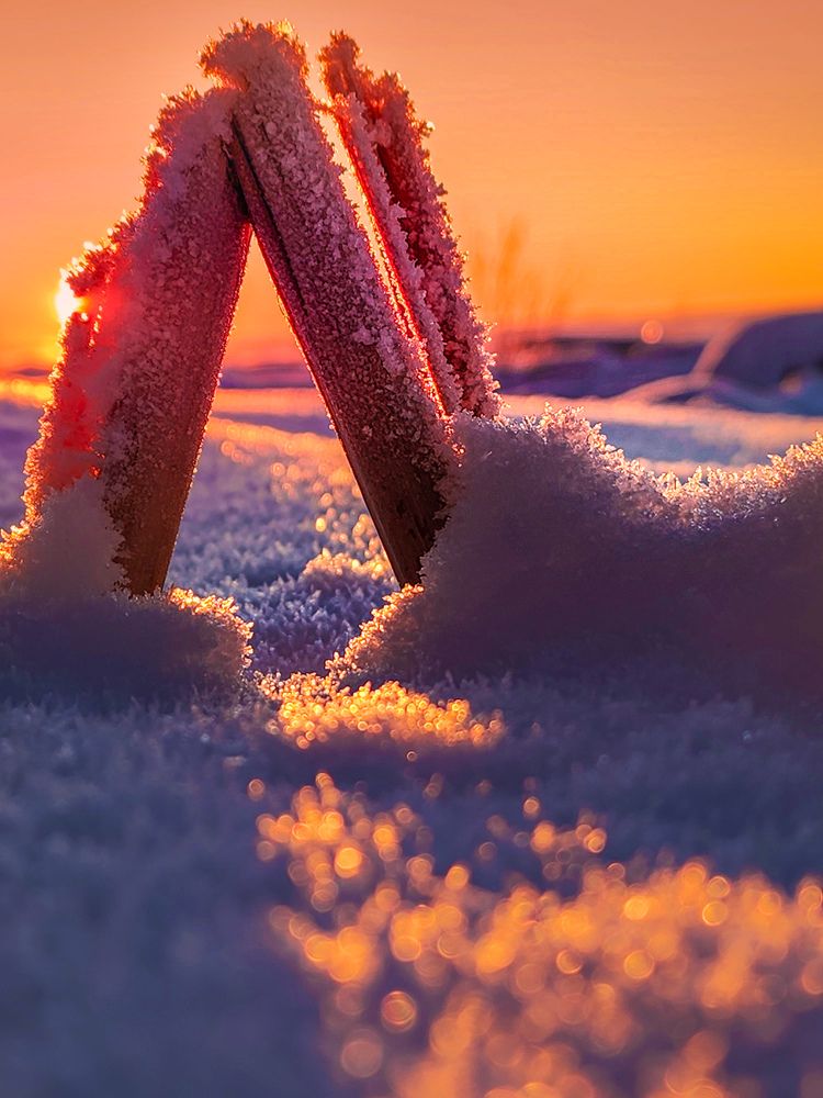 Photograph by Chic.chiquitita