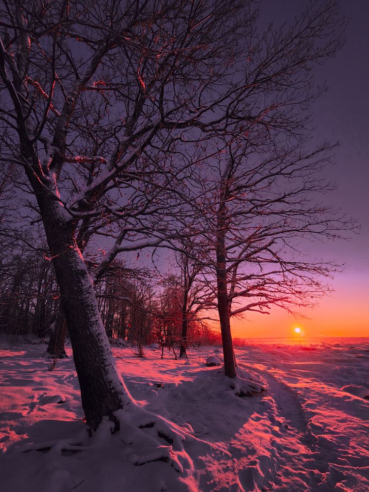 Photograph by Chic.chiquitita