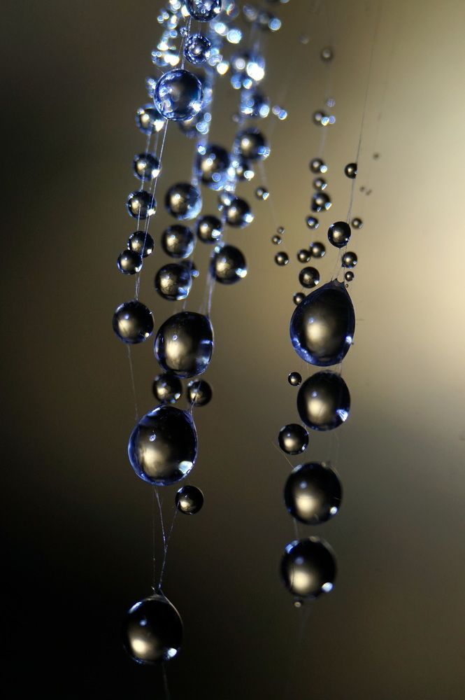 Photograph by Лена Максимкина