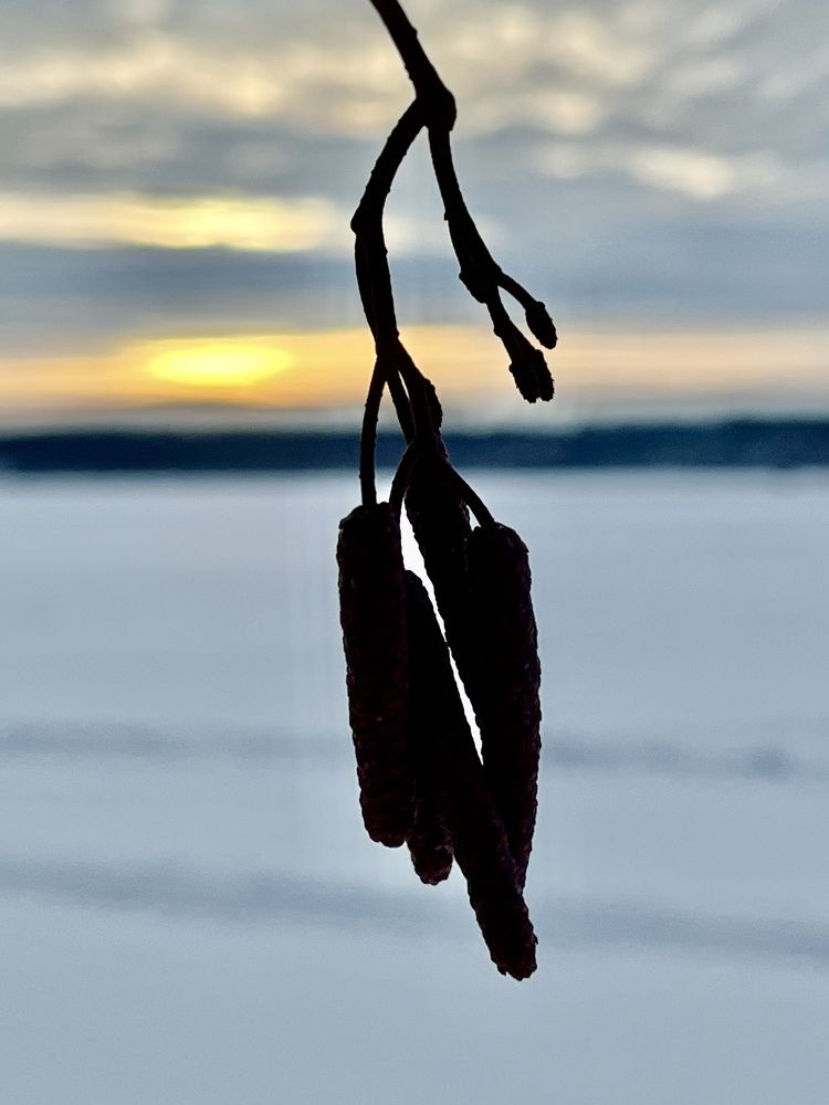 Фотография автора Елена Чиликина