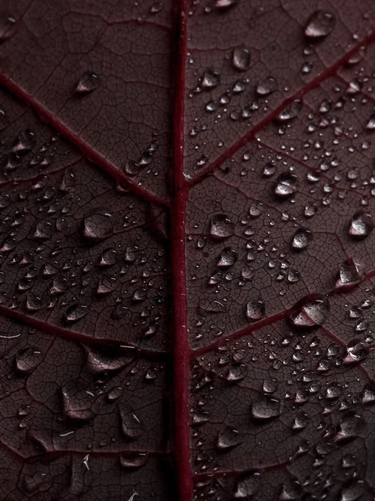 Photograph by Рина Серёгина