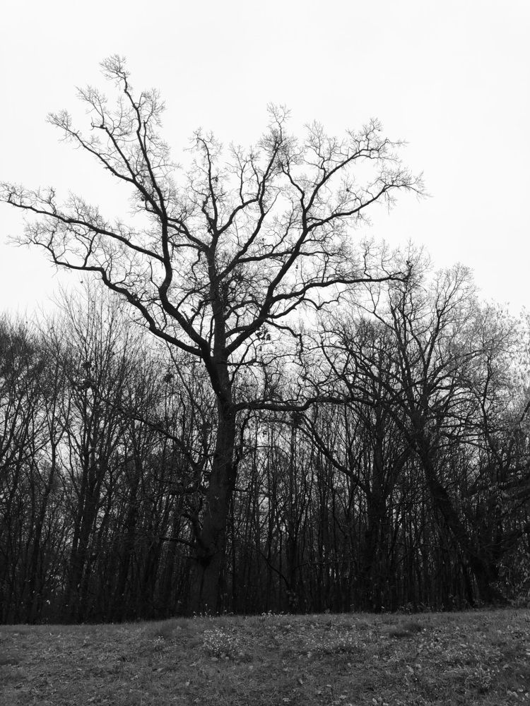 Асенні дзень