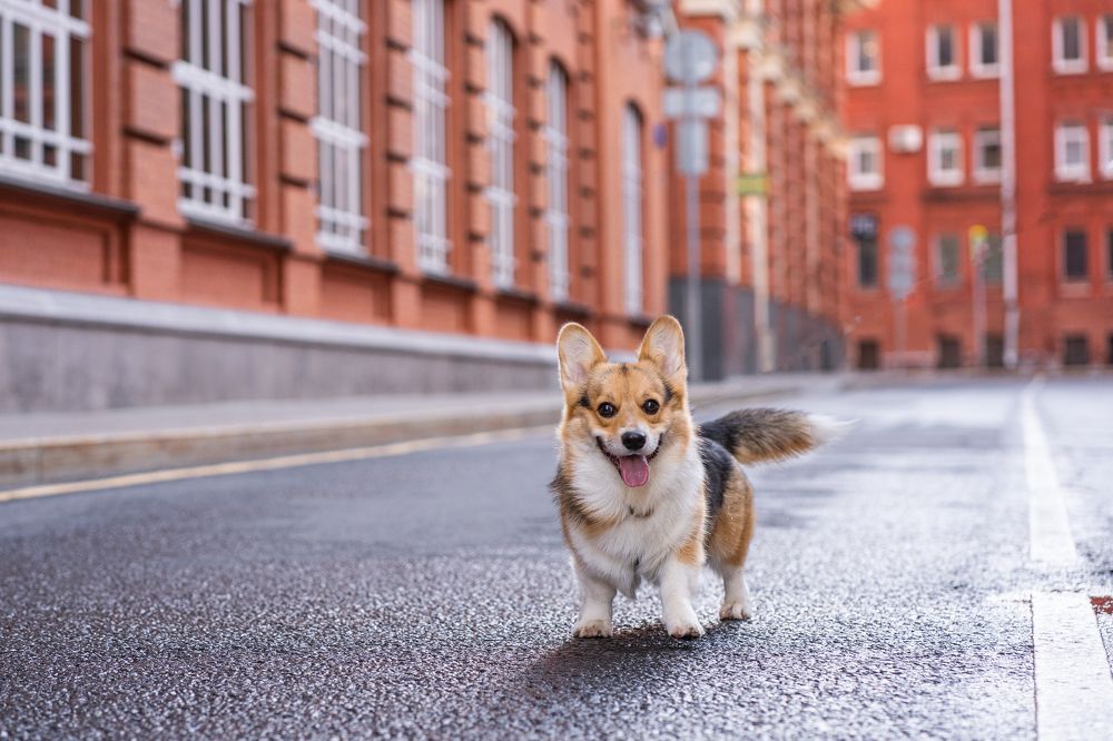 Photograph by Анна Полушина