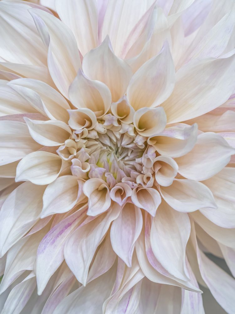 Photograph by Рина Серёгина