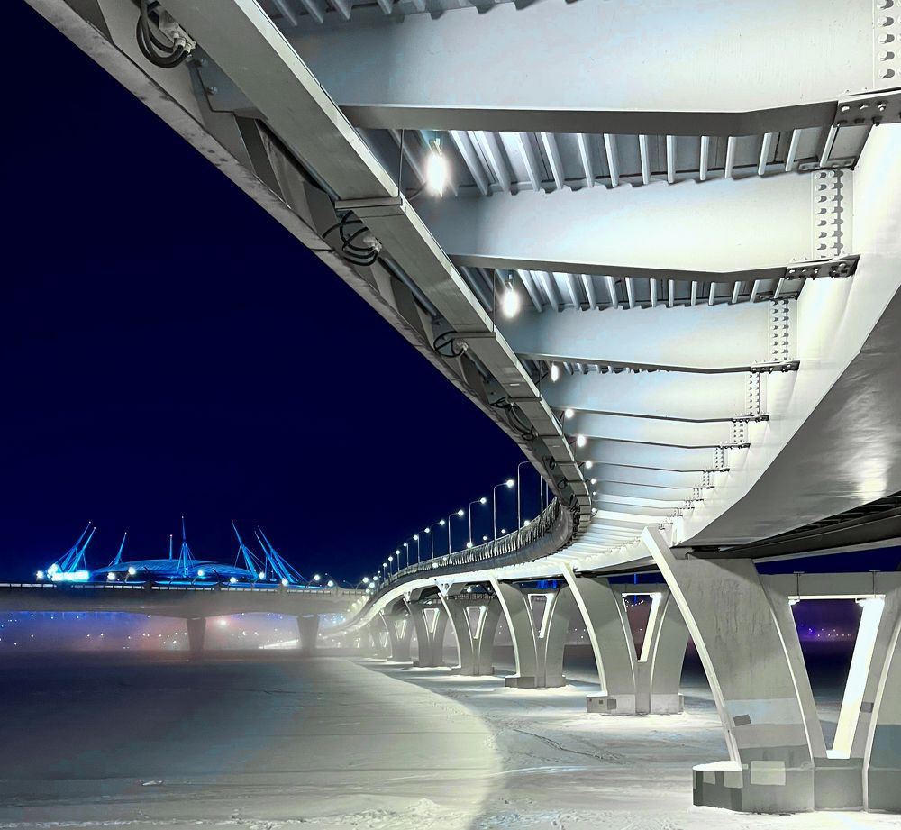 Они прилетели