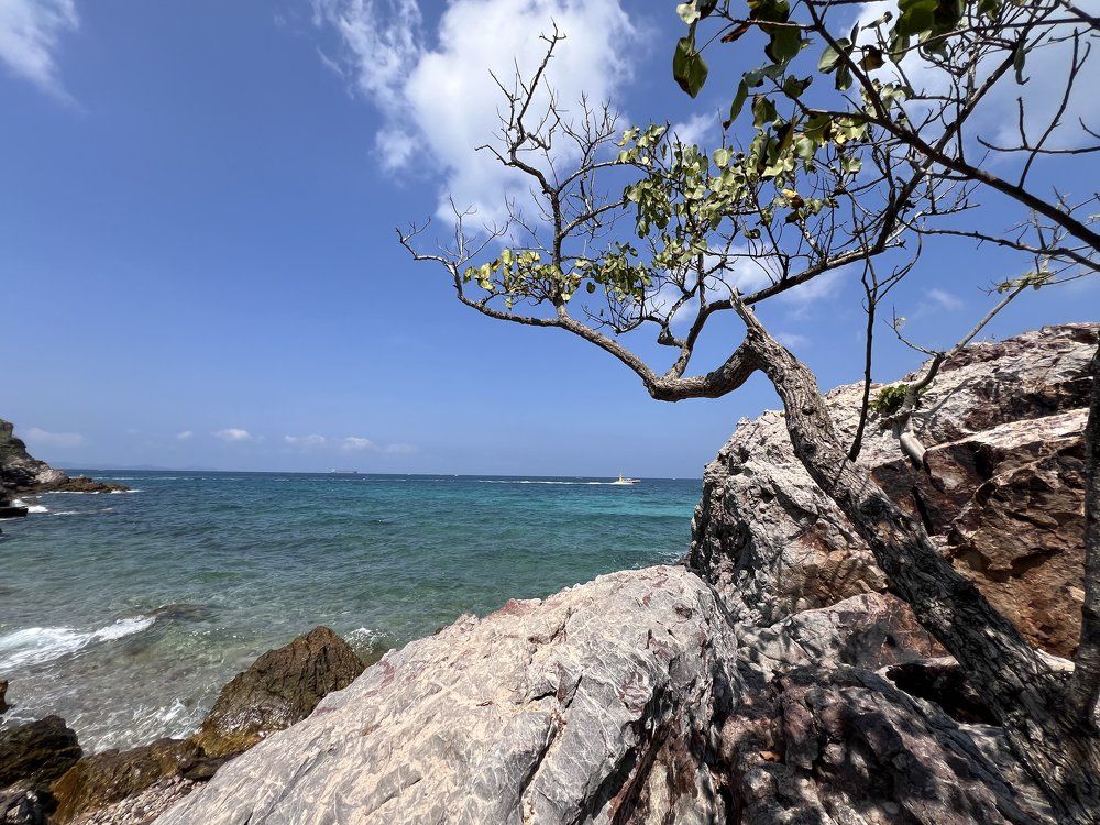 Photograph by Мария Бербега