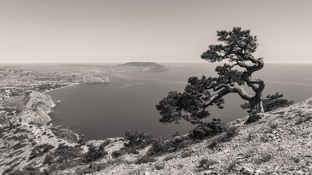 Photograph by Екатерина Крючкова