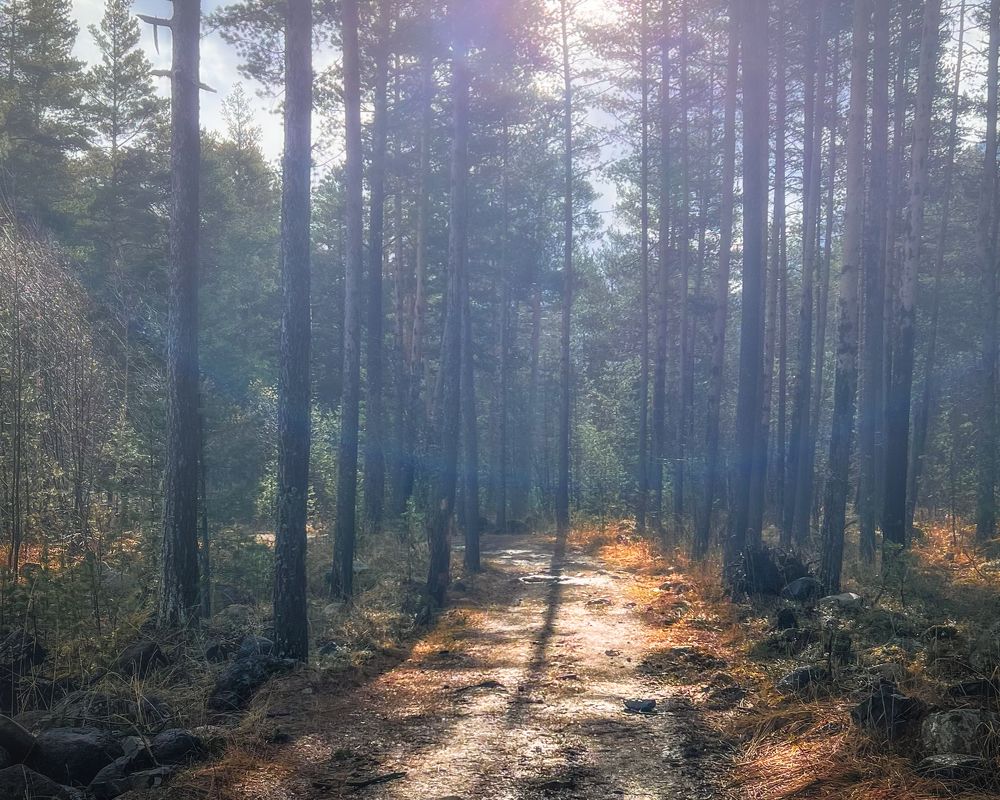 Photograph by Ольга Волкова