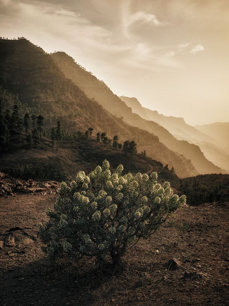 Фотография автора Vasilev Kris