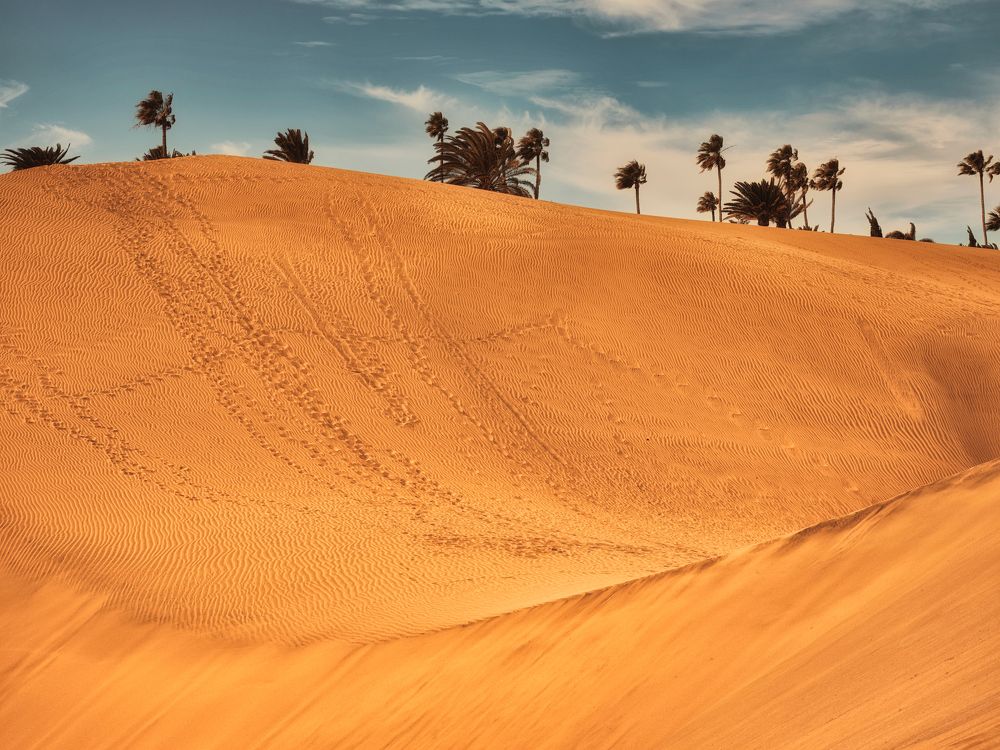 Фотография автора Vasilev Kris