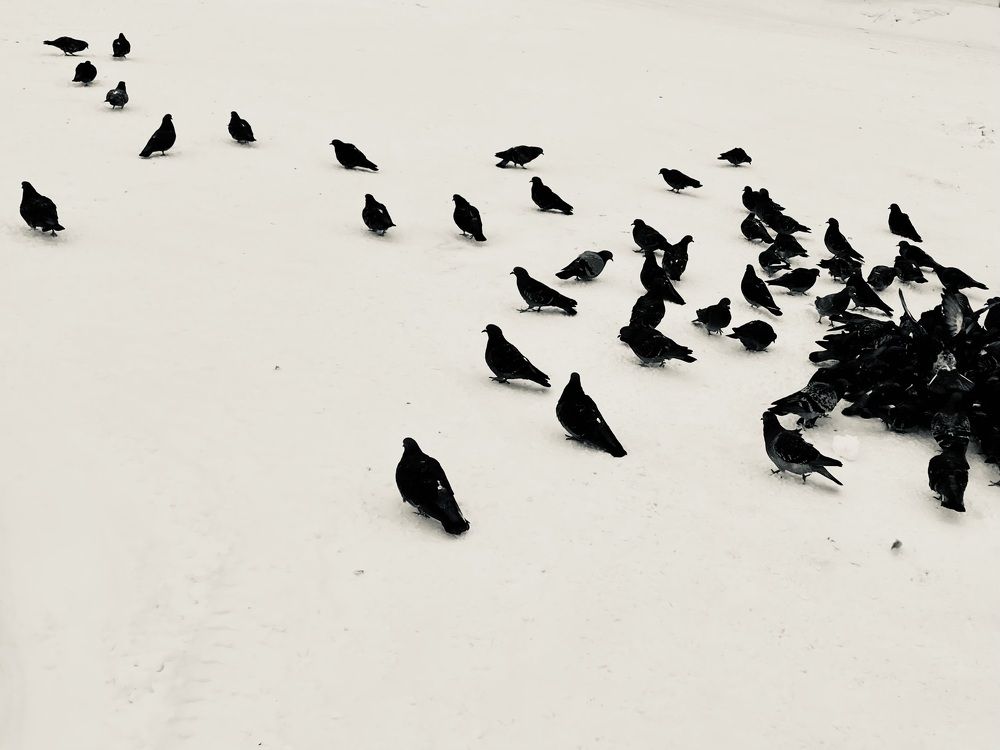 Фотография автора ГУЗАЛИЯ ГАНИЕВА