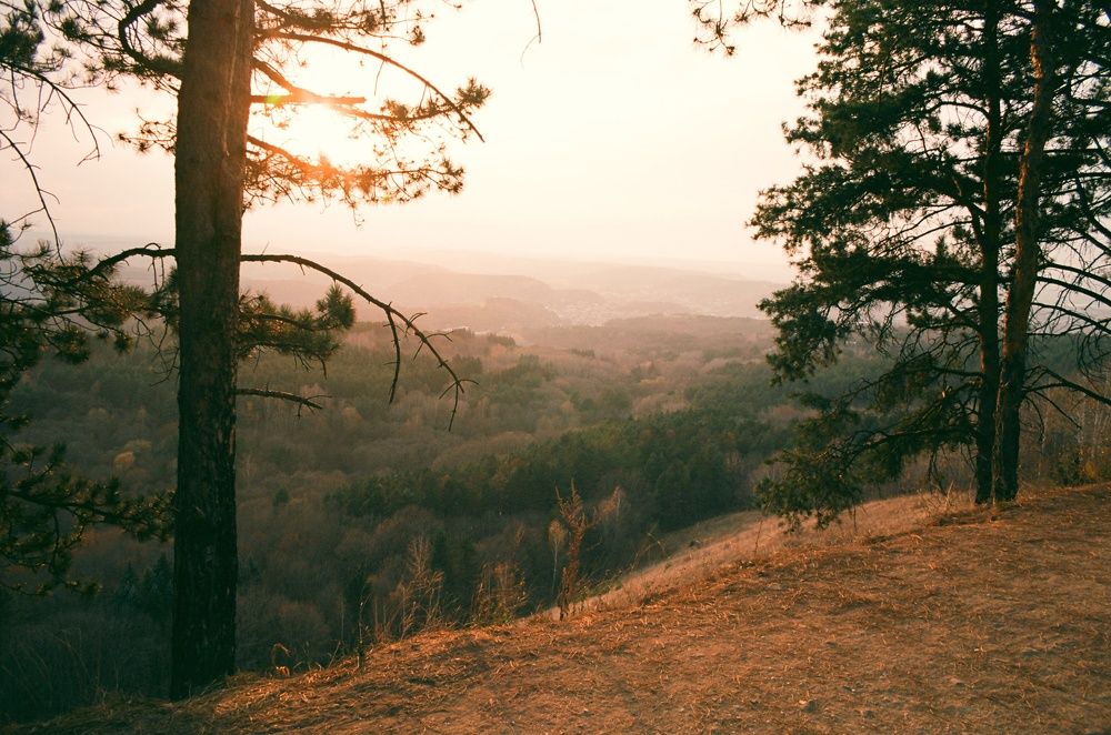 Photograph by Василий Селиванов