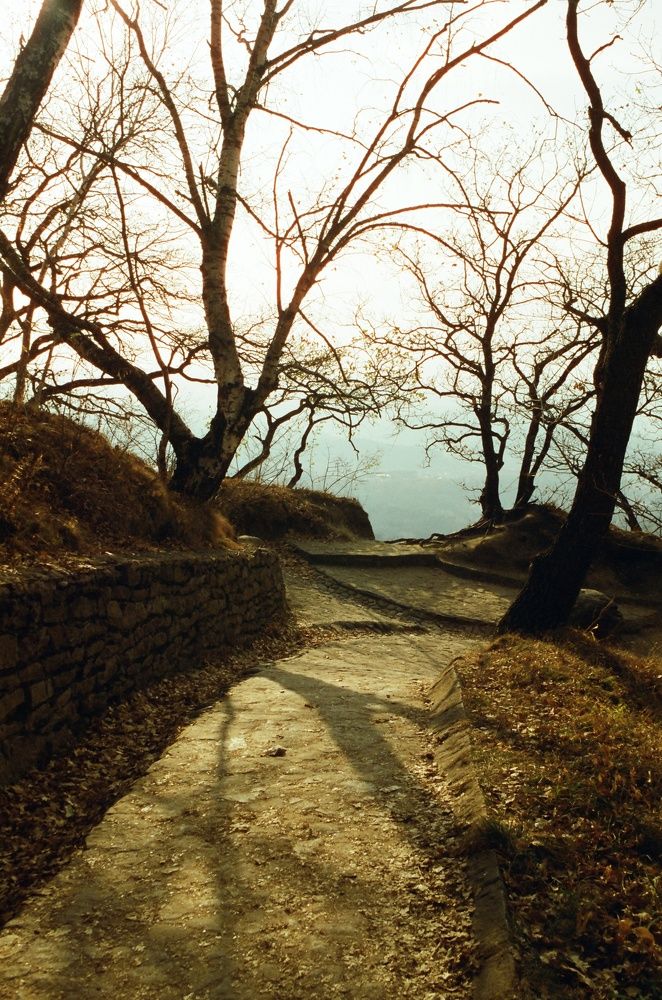 Photograph by Василий Селиванов