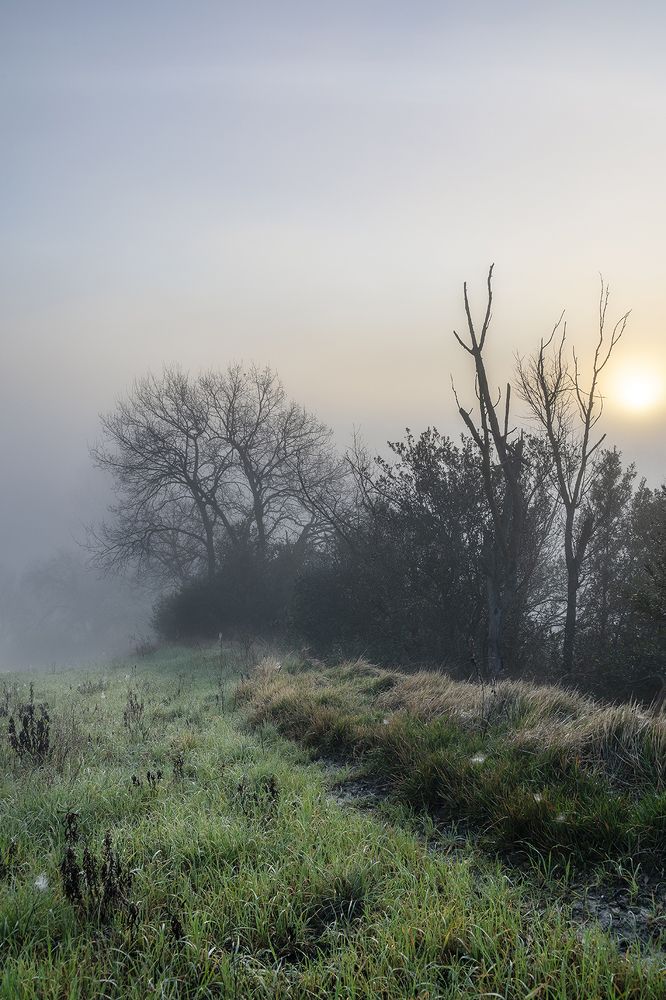 Photograph by andrea lorenzetti