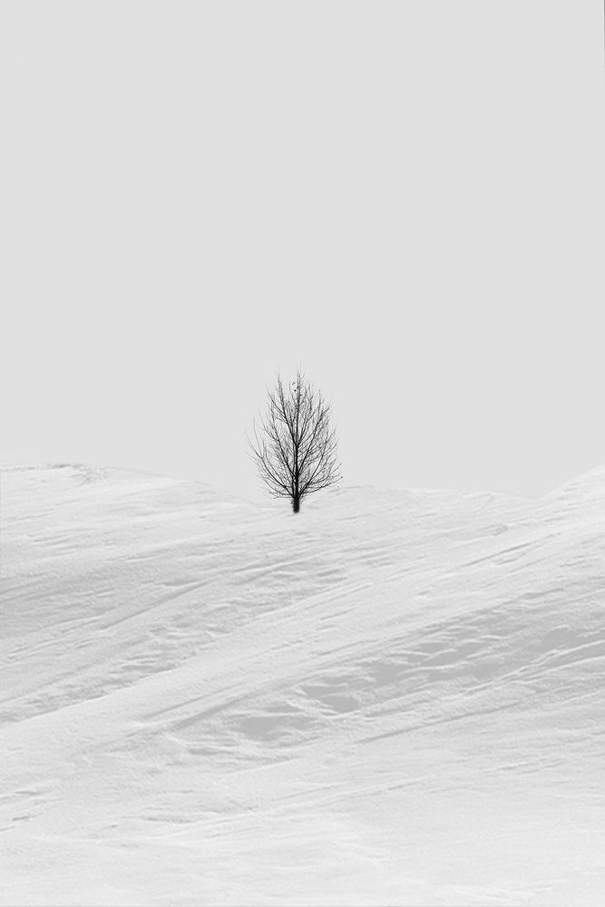 Photograph by Ava Nasiri