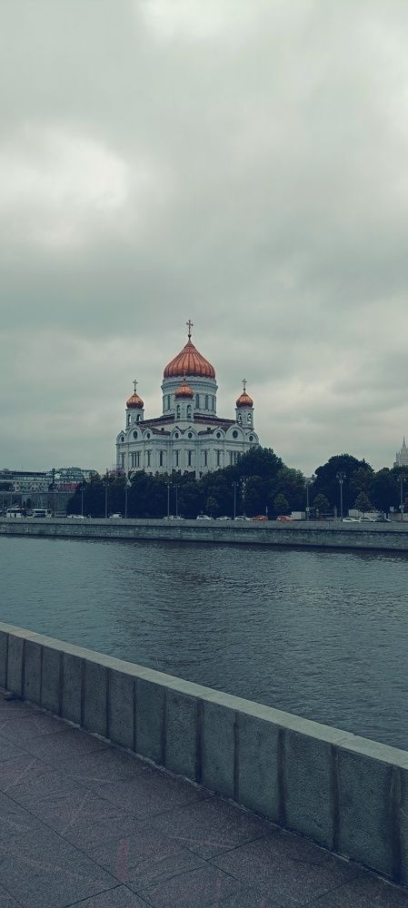 Photo #10411730