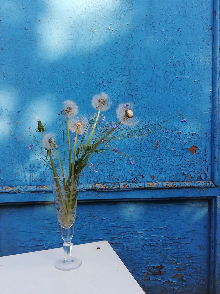 Photograph by Galina Novichkova