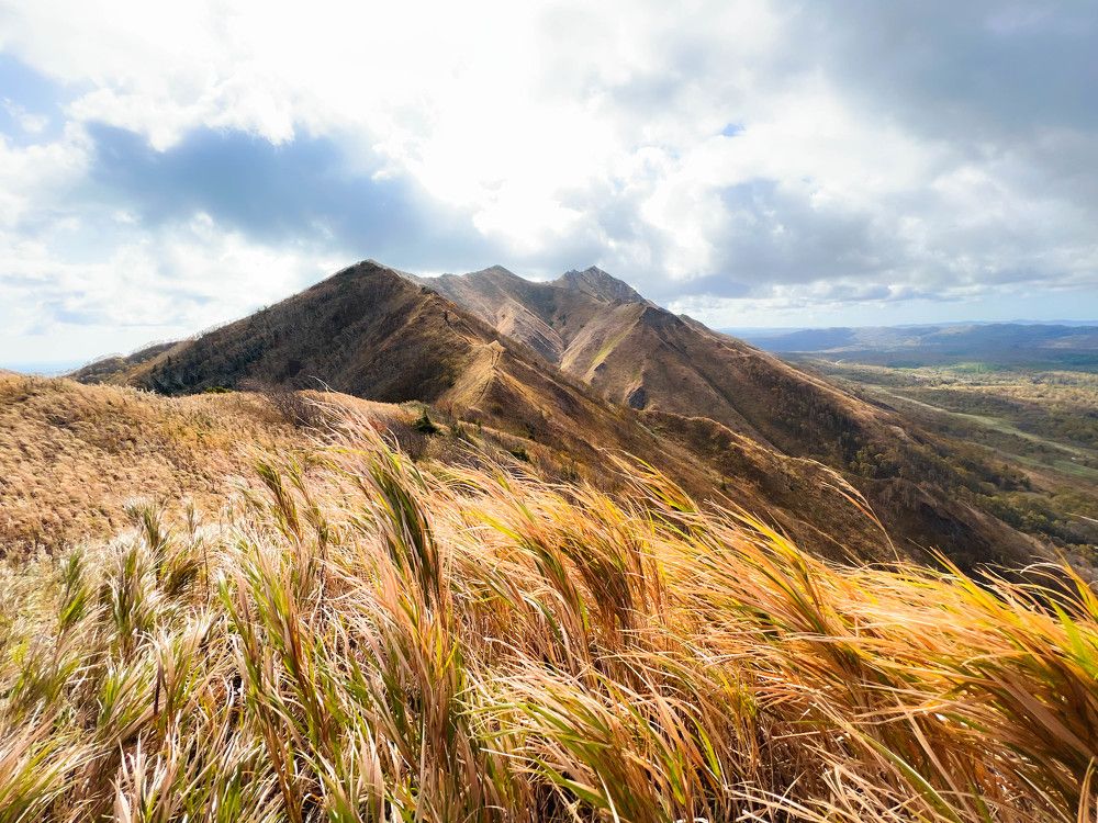 Photograph by Anna Turks