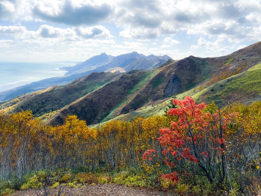 Photograph by Anna Turks