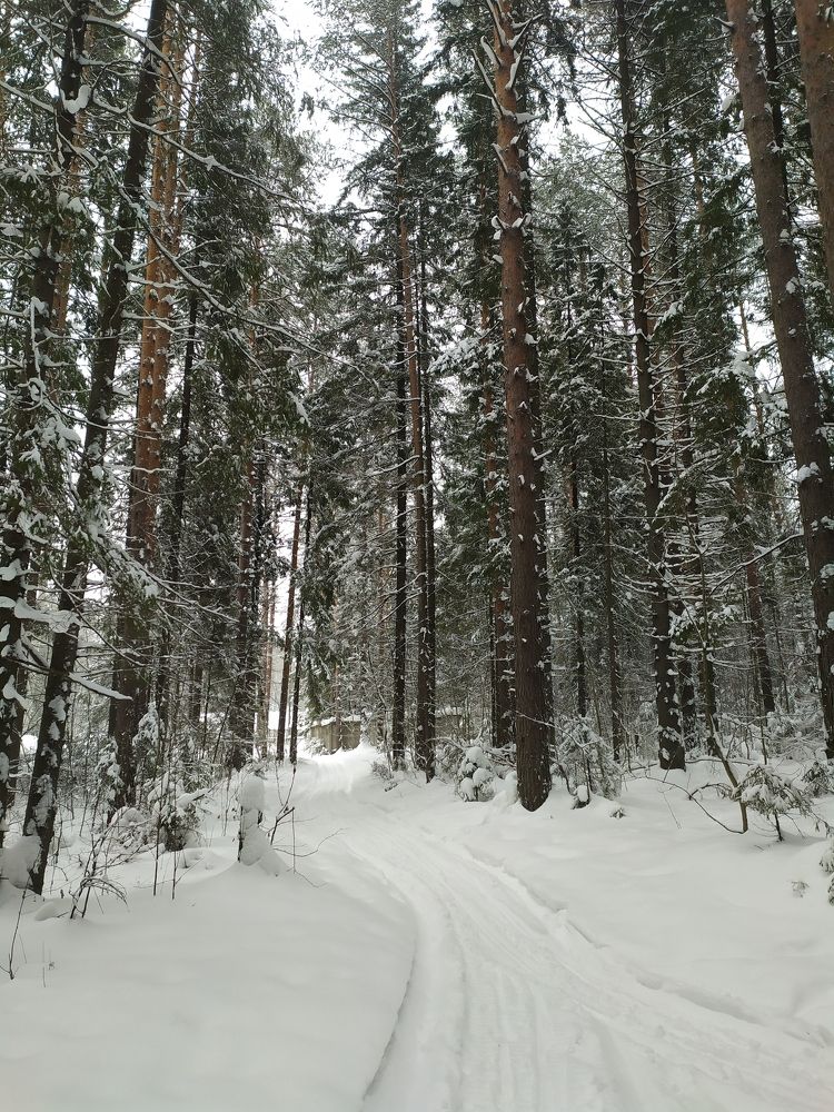 Photograph by Анна