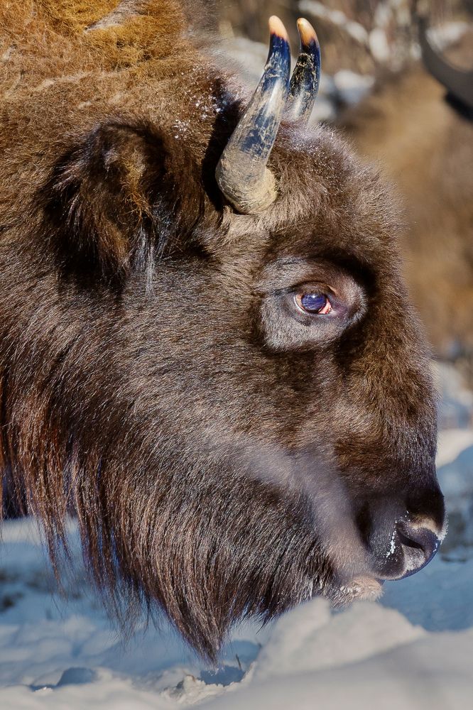 Photograph by Низовцева Елена