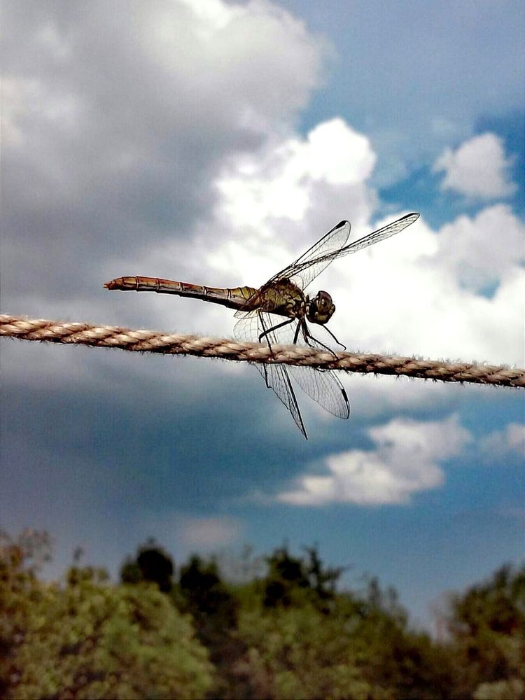 Photograph by Galina Novichkova