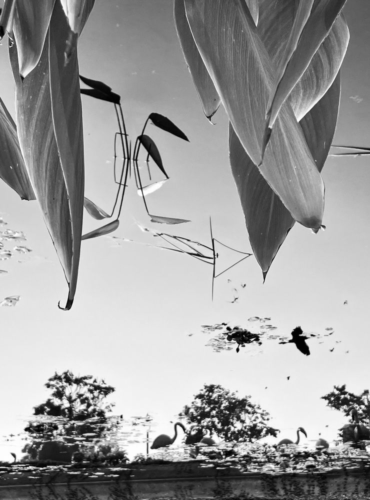 Photograph by sumit Jadeja