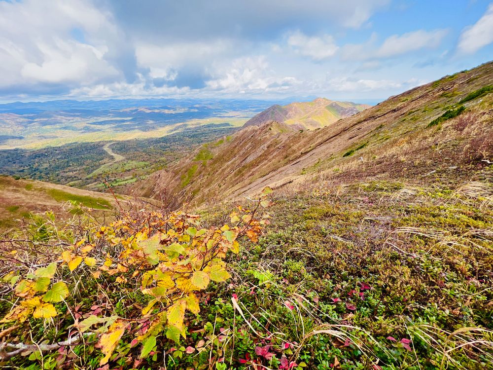 Photograph by Anna Turks