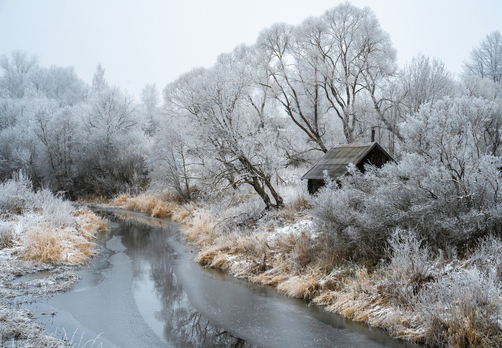 Photograph by Павел Шемякин